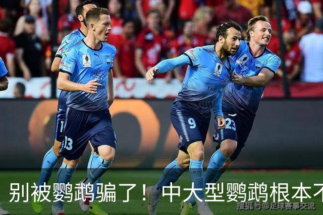 别被鹦鹉骗了！中大型鹦鹉根本不是宠物，是会飞的野生猛禽！
